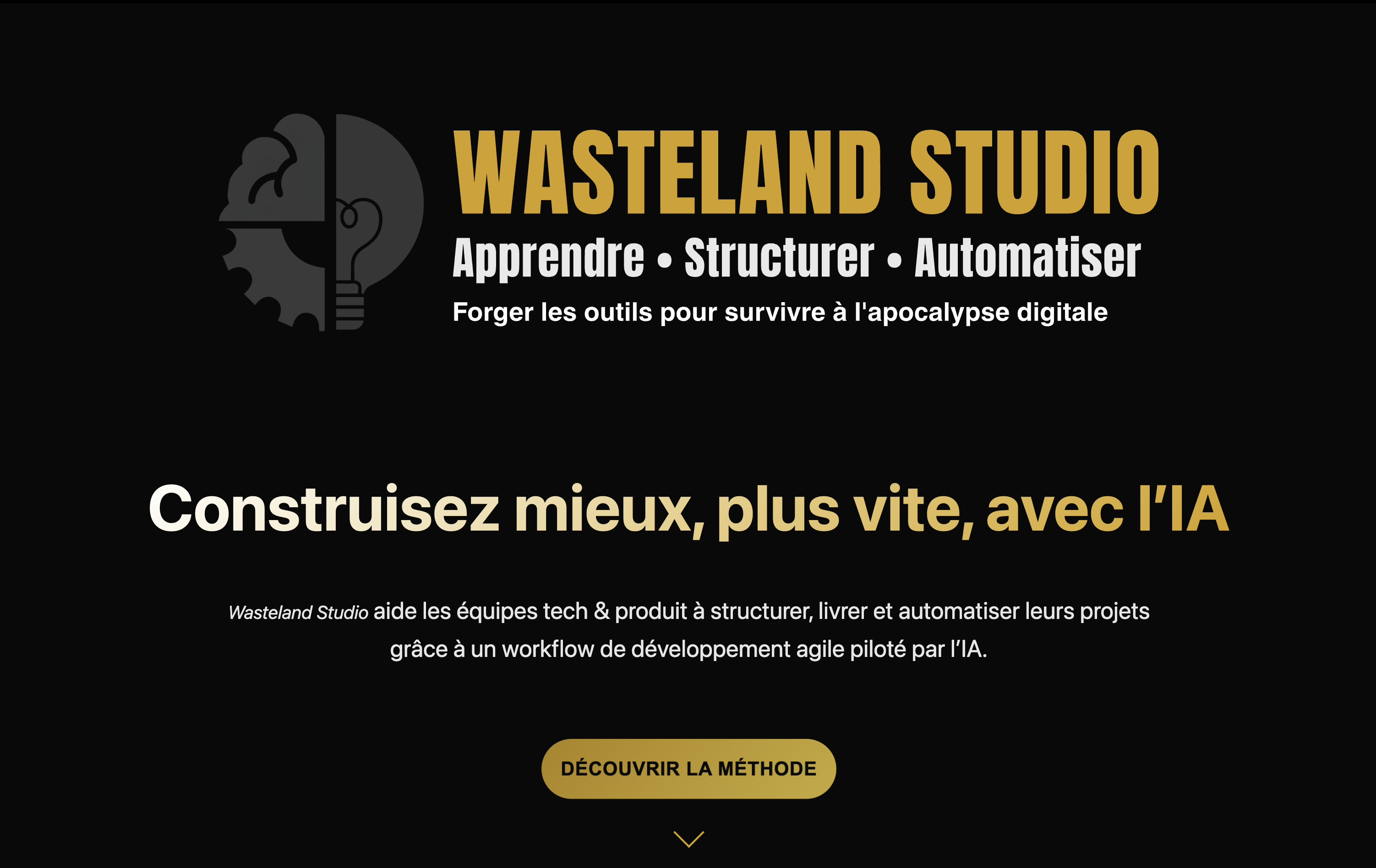 Site web Wasteland Studio